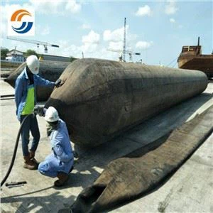 Φουσκωτό θαλάσσιο αερόσακο μεσημεριανό γεύμα