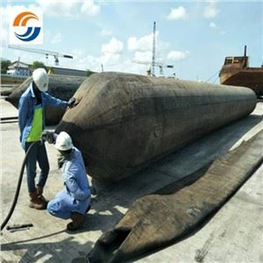 Φουσκωτό θαλάσσιο αερόσακο μεσημεριανό γεύμα